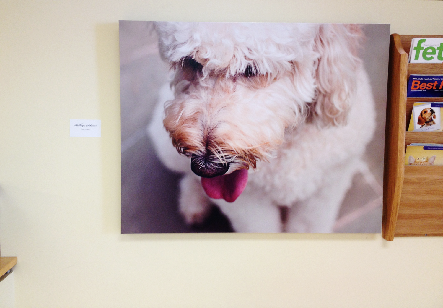 dog photo canvas artwork share